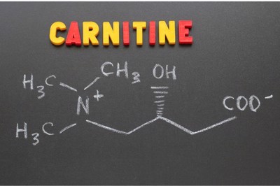 Tác dụng của L carnitine với cơ thể